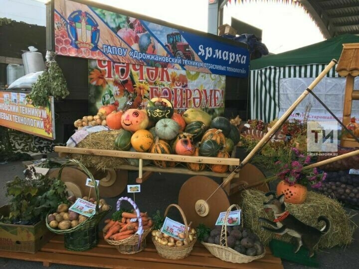 В городах Закамья 10 сентября стартуют осенние сельскохозяйственные ярмарки