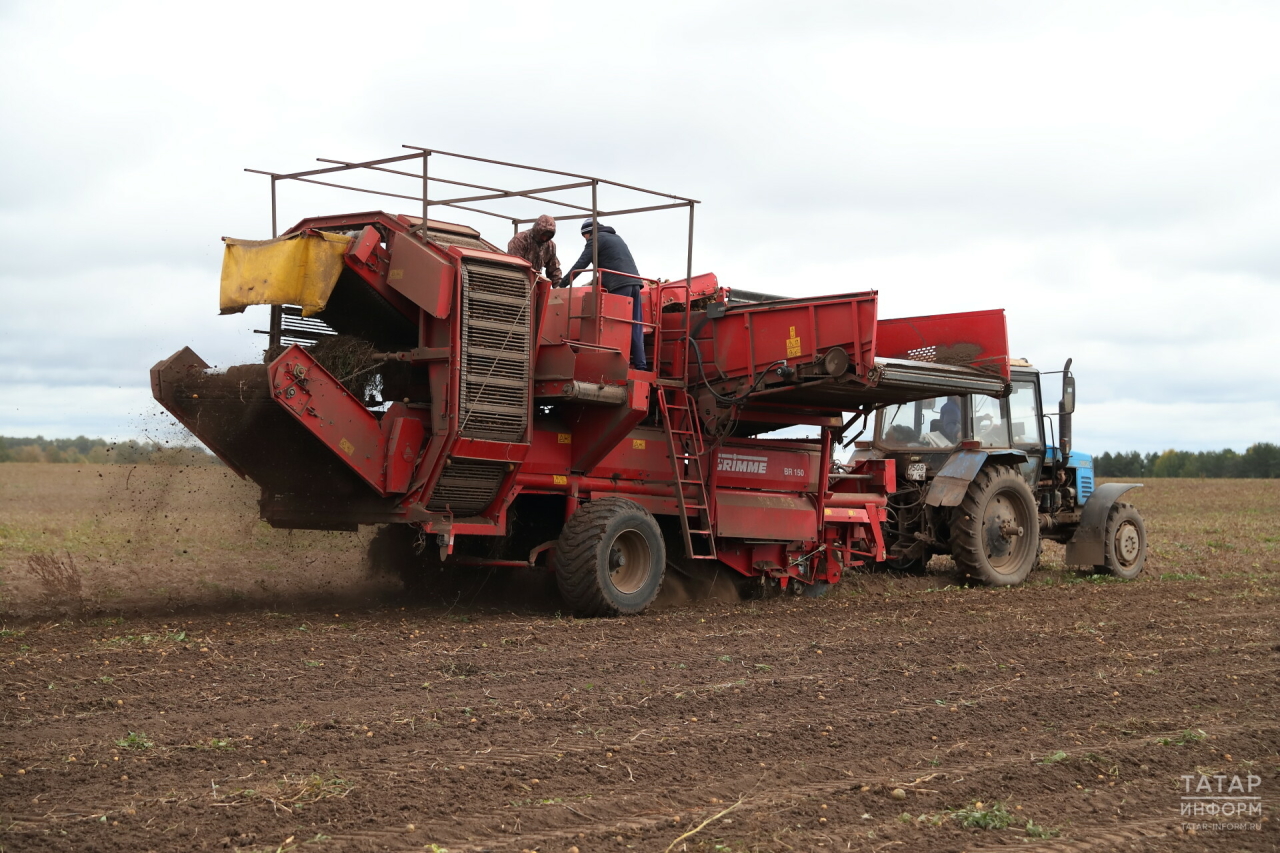 Минэкономики России назвало сферы, в которых упадет спрос на работников к 2030 году