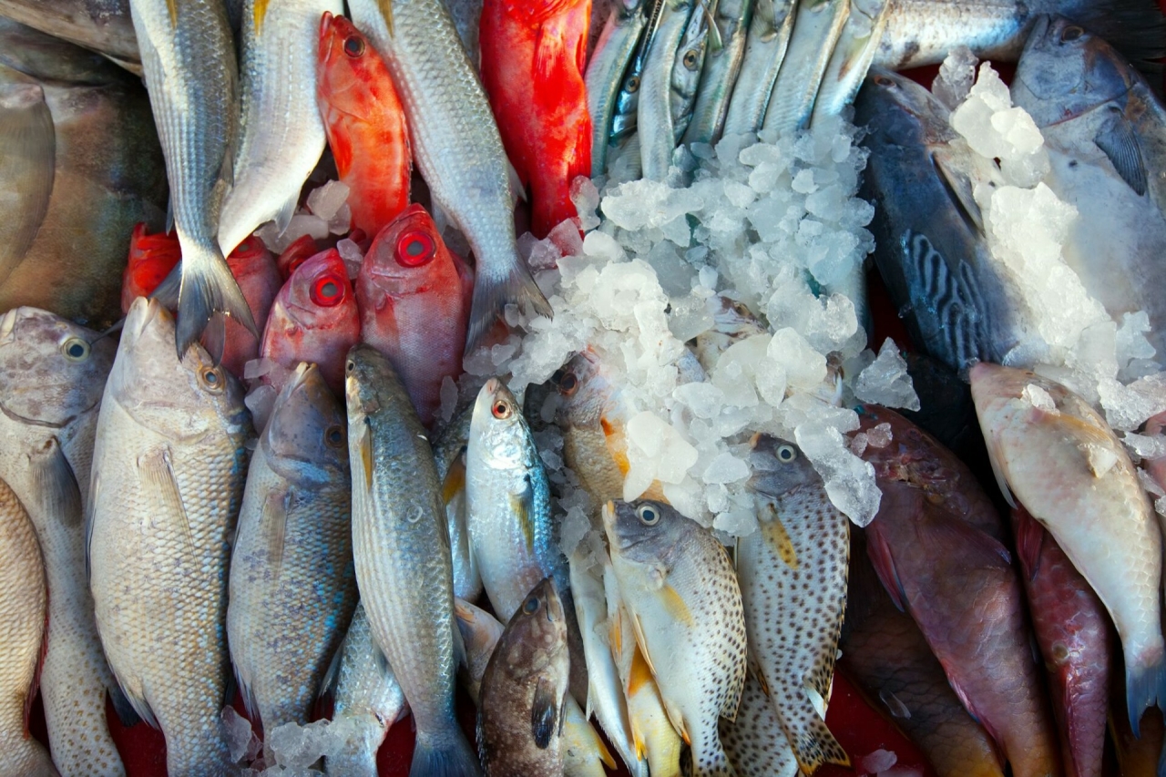 Россия временно ограничила импорт рыбы и морепродуктов из Японии