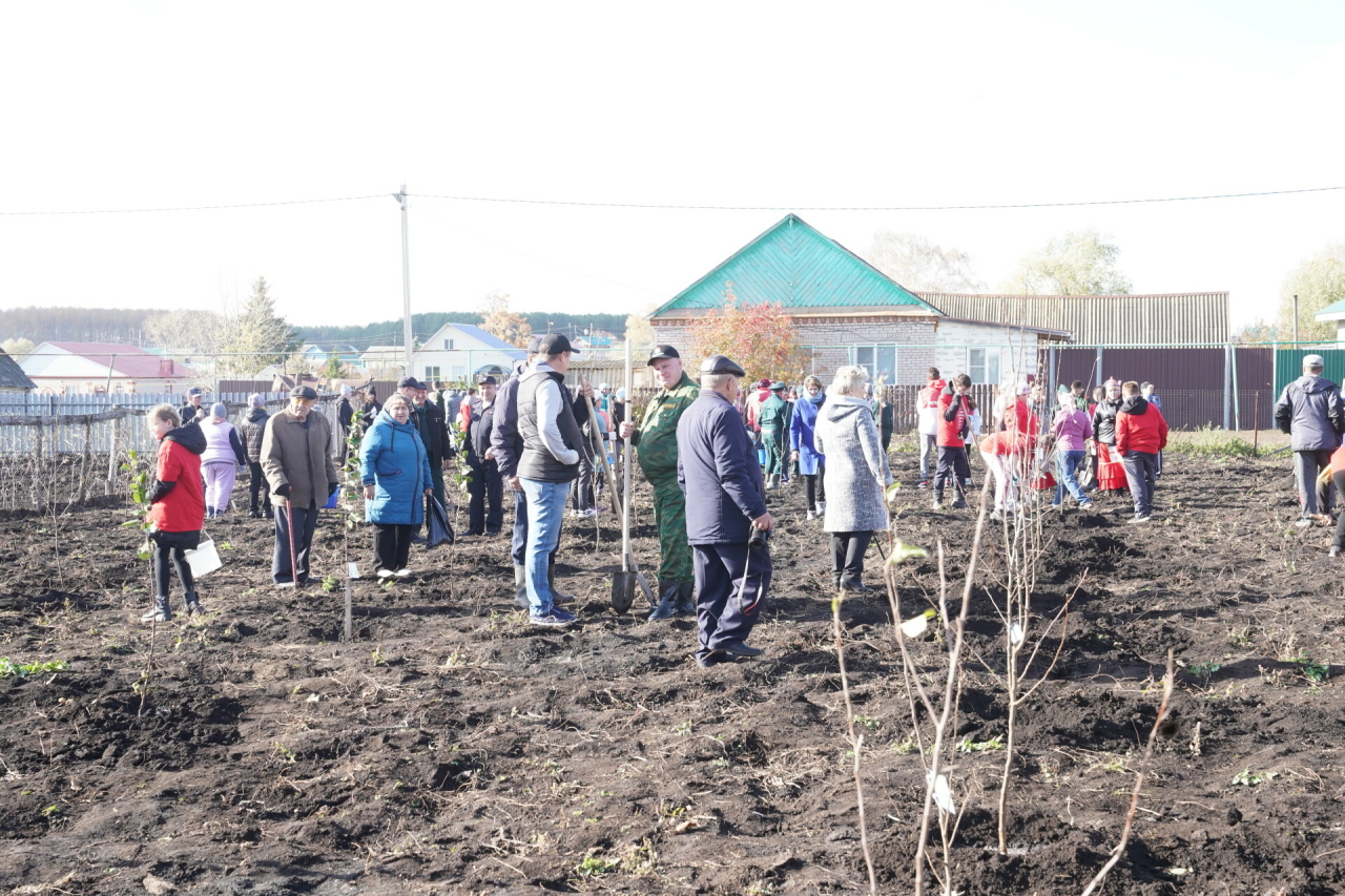 В Черемшанском районе Татарстана высадили яблоневый Сад памяти