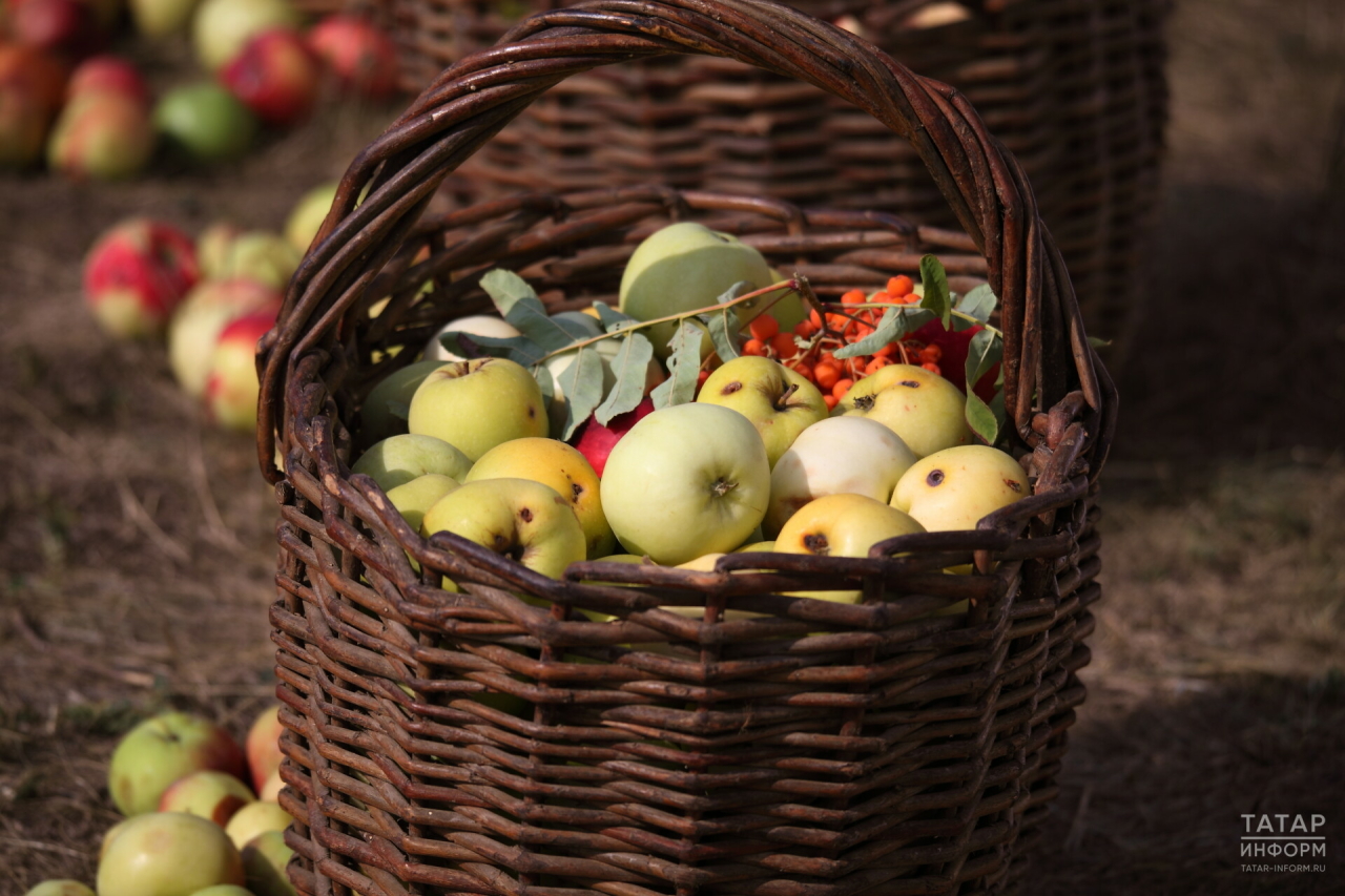 За неделю в Татарстане подешевели яблоки и консервы для детского питания
