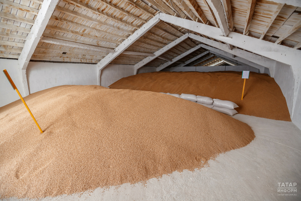 Марат Зяббаров заверил, что в Татарстане имеется необходимый объем зерна