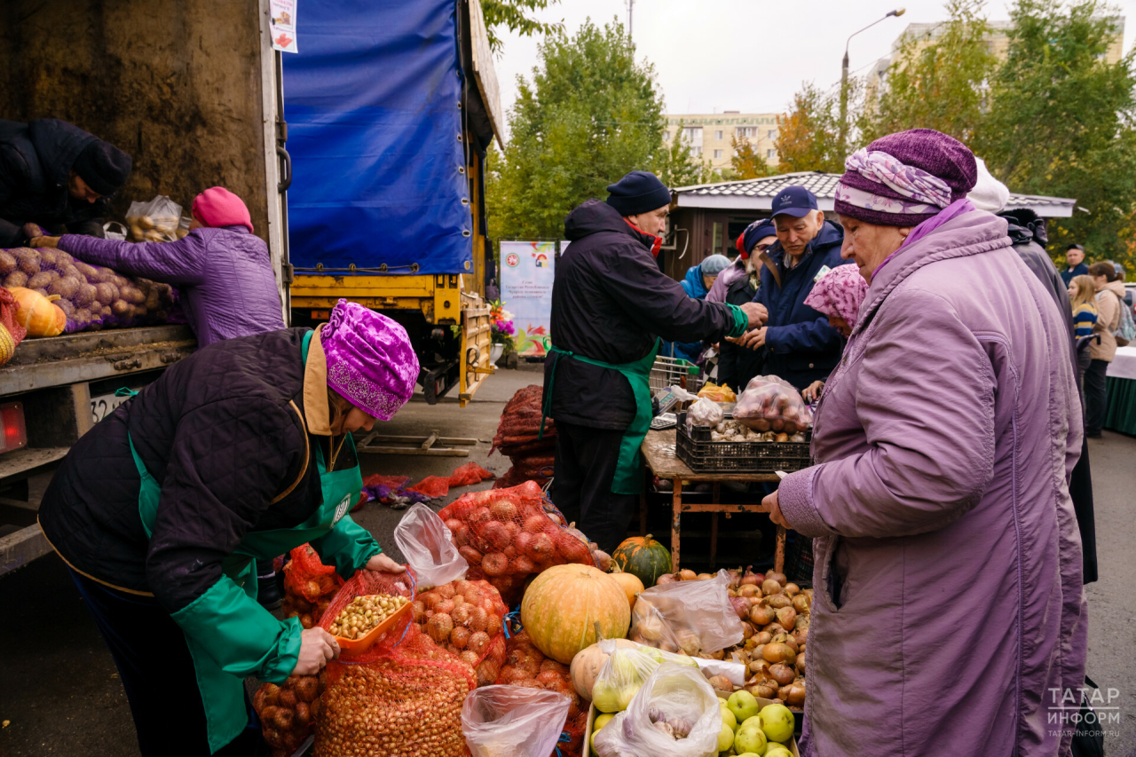 Фермерскую продукцию по низким ценам можно будет приобрести на сельхозярмарках Казани