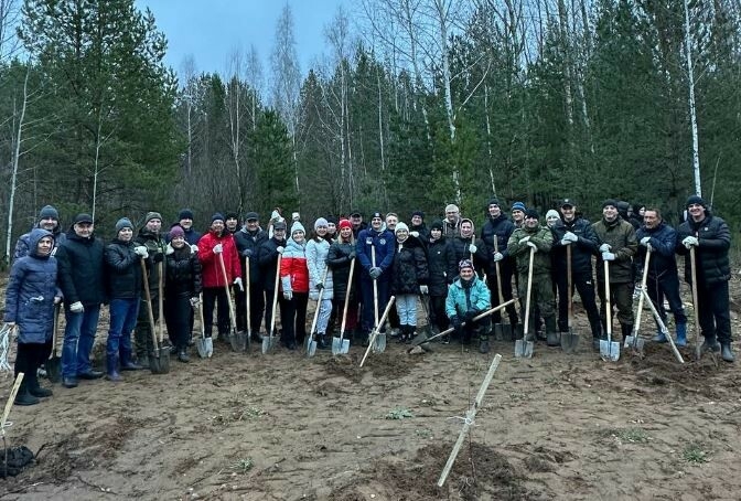 Челнинцы высадили 250 берез на пустыре в парке Прибрежный