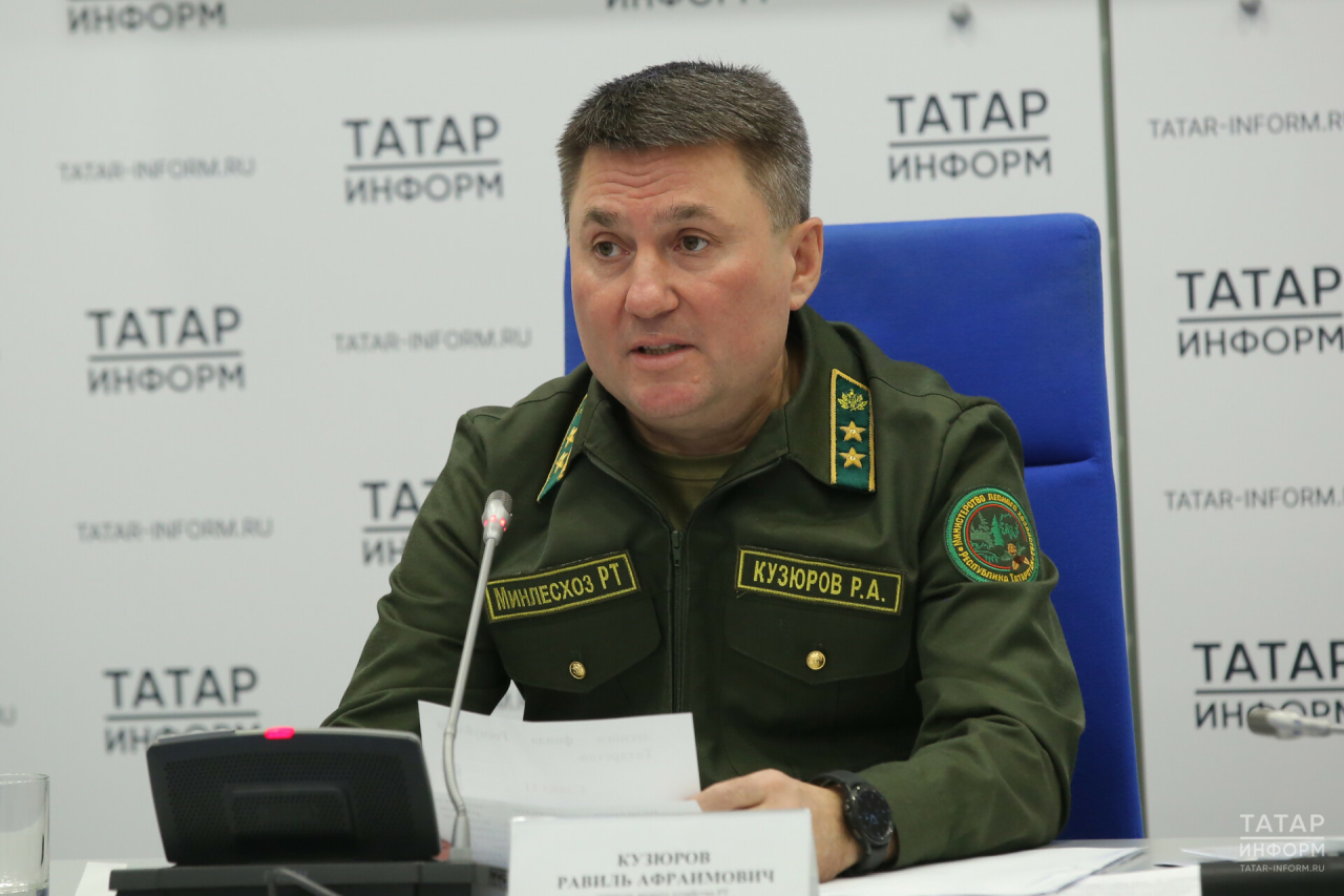 План по восстановлению лесов Татарстана выполнен на 180%