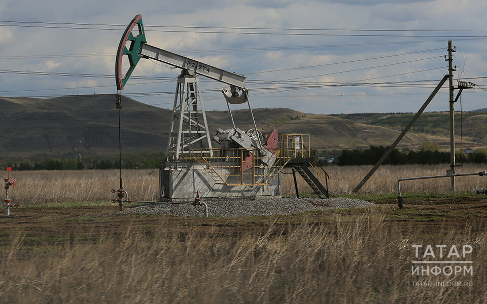 Нефтяные компании РФ предложили две меры, стимулирующие разработку малых месторождений
