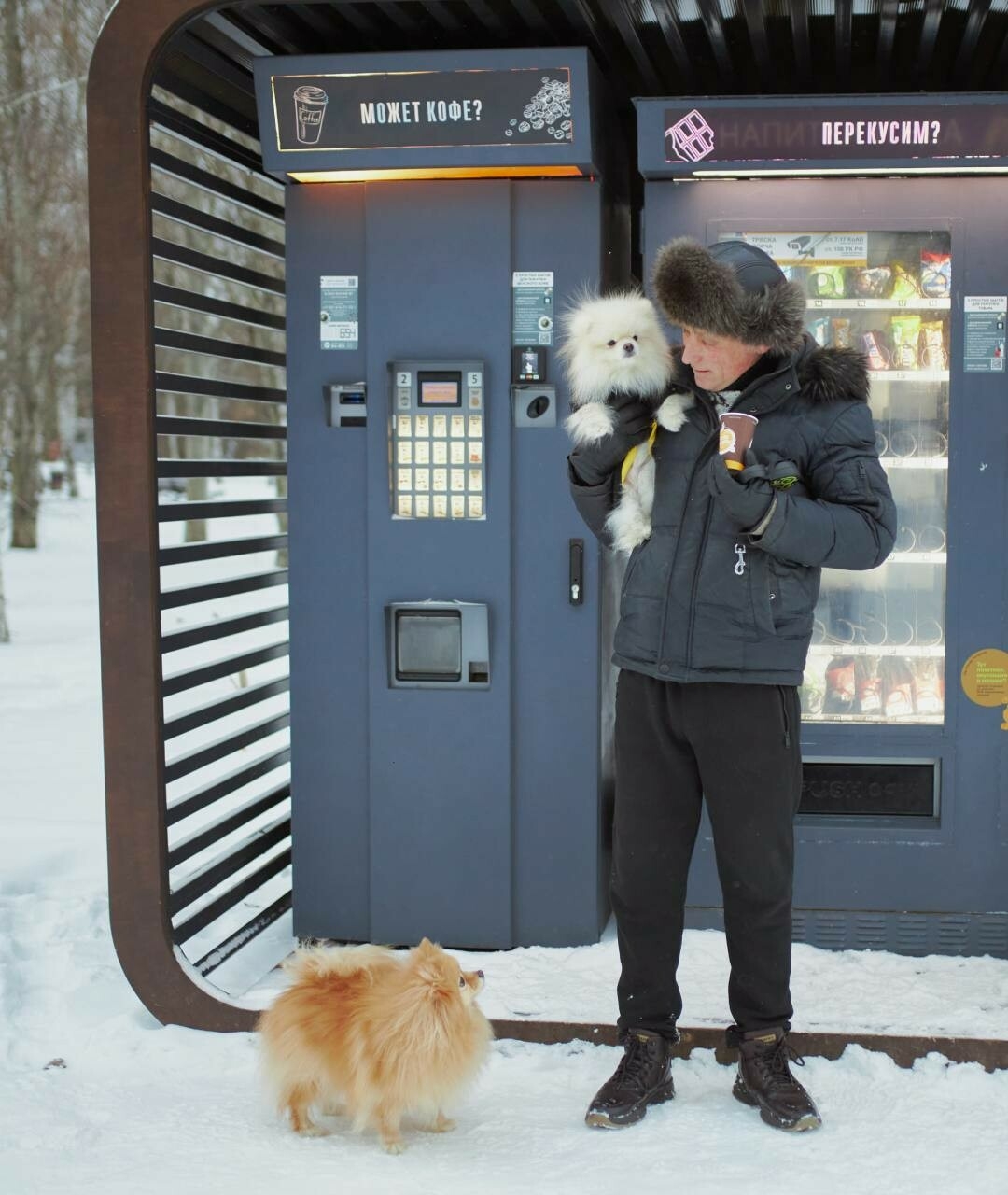 В трех парках Казани впервые появились вендинговые автоматы для собачников