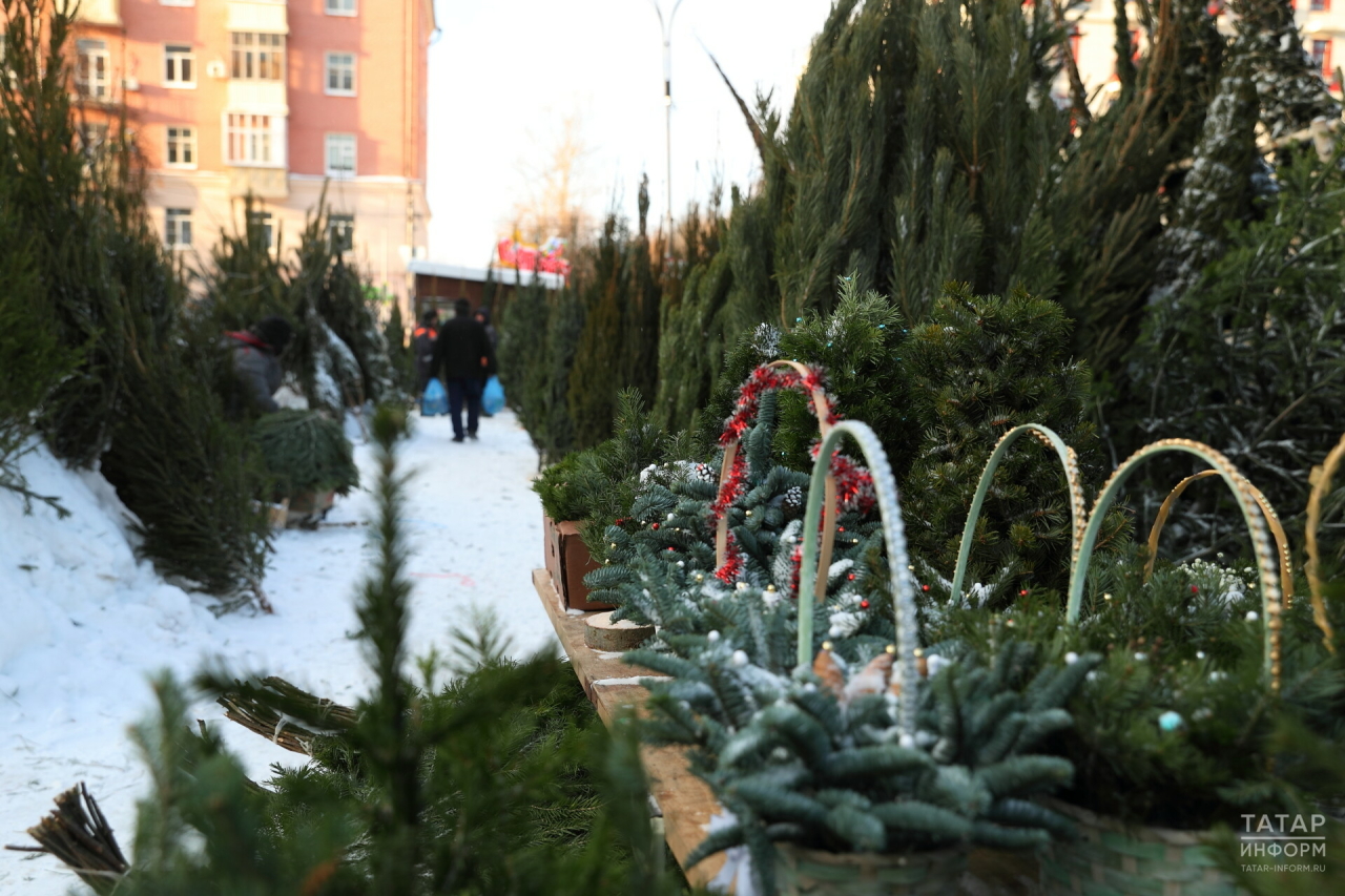 Жители Казани смогут приобрести новогоднюю ель на 14 площадках