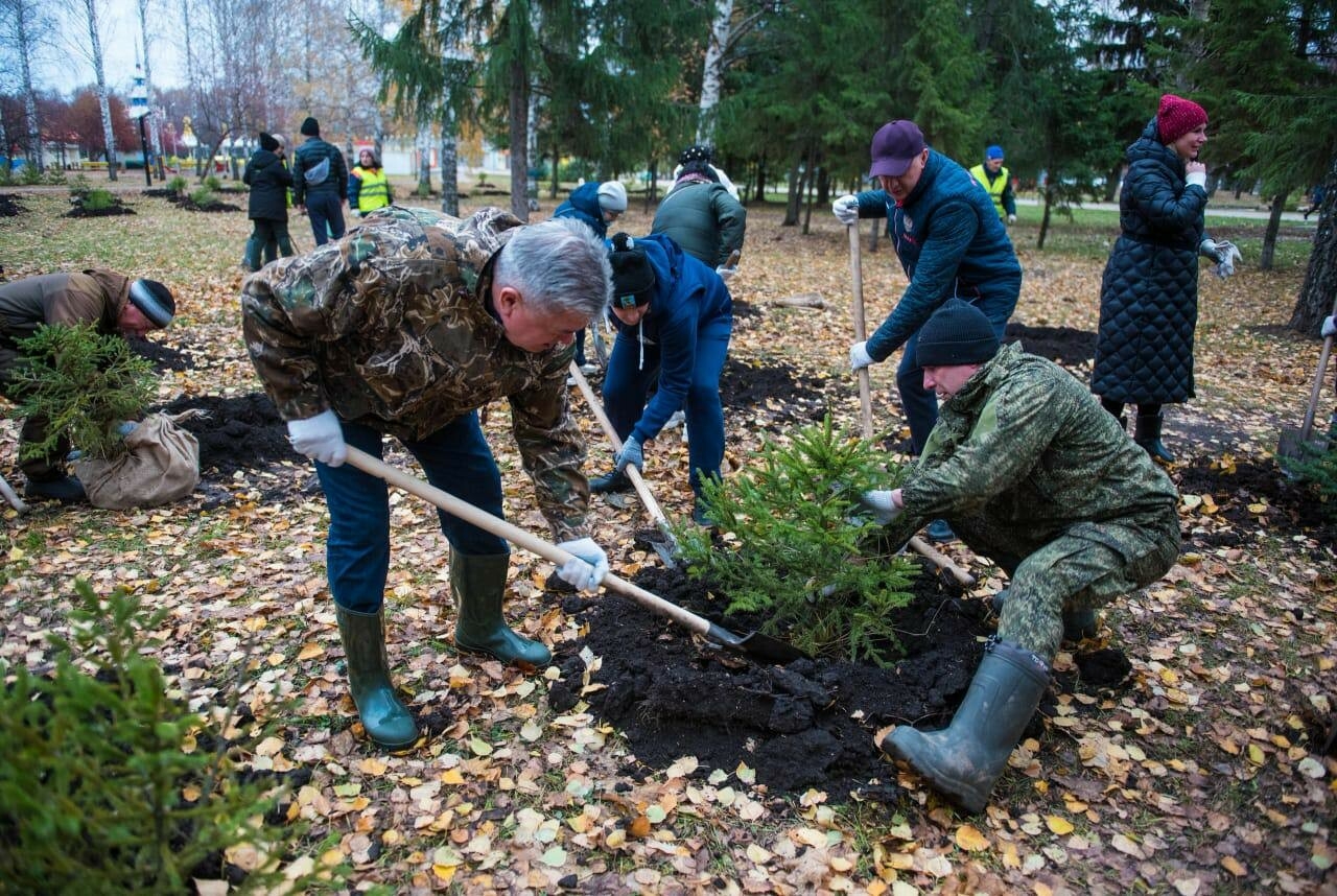 В День народного единства мэр Челнов с командой посадил 350 елей в парке Победы