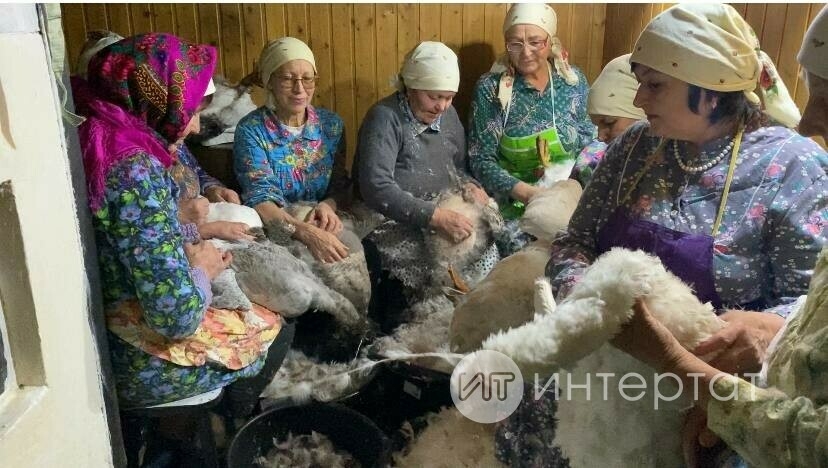 Праздник гусиного пера: в селе Евлаштау Сабинского района прошел «Каз өмәсе»