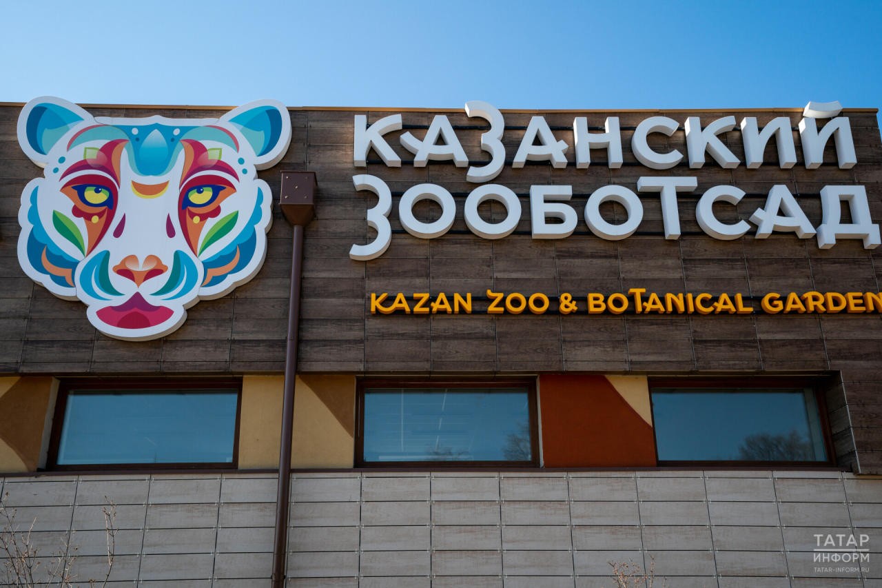 Люди с ОВЗ смогут побывать на бесплатной экскурсии в зоопарке Казани в Декаду инвалидов