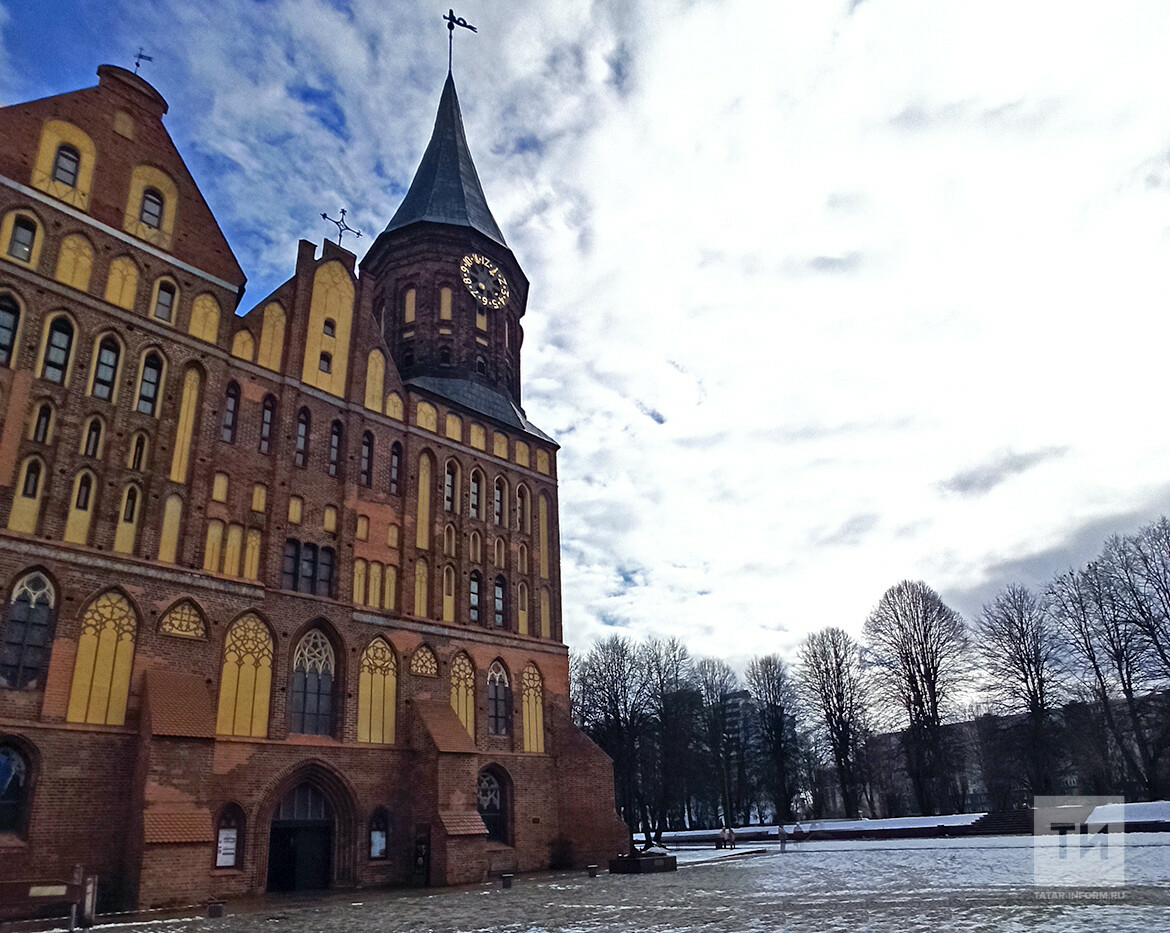 Хомлины, музей кошек и Янтарная пирамида: что посмотреть в Калининградской области