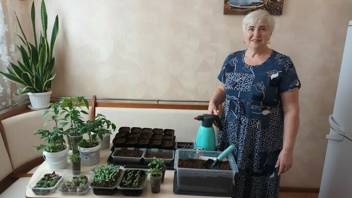 Жительница Мамадыша занялась выращиванием экзотических фиолетовых помидоров
