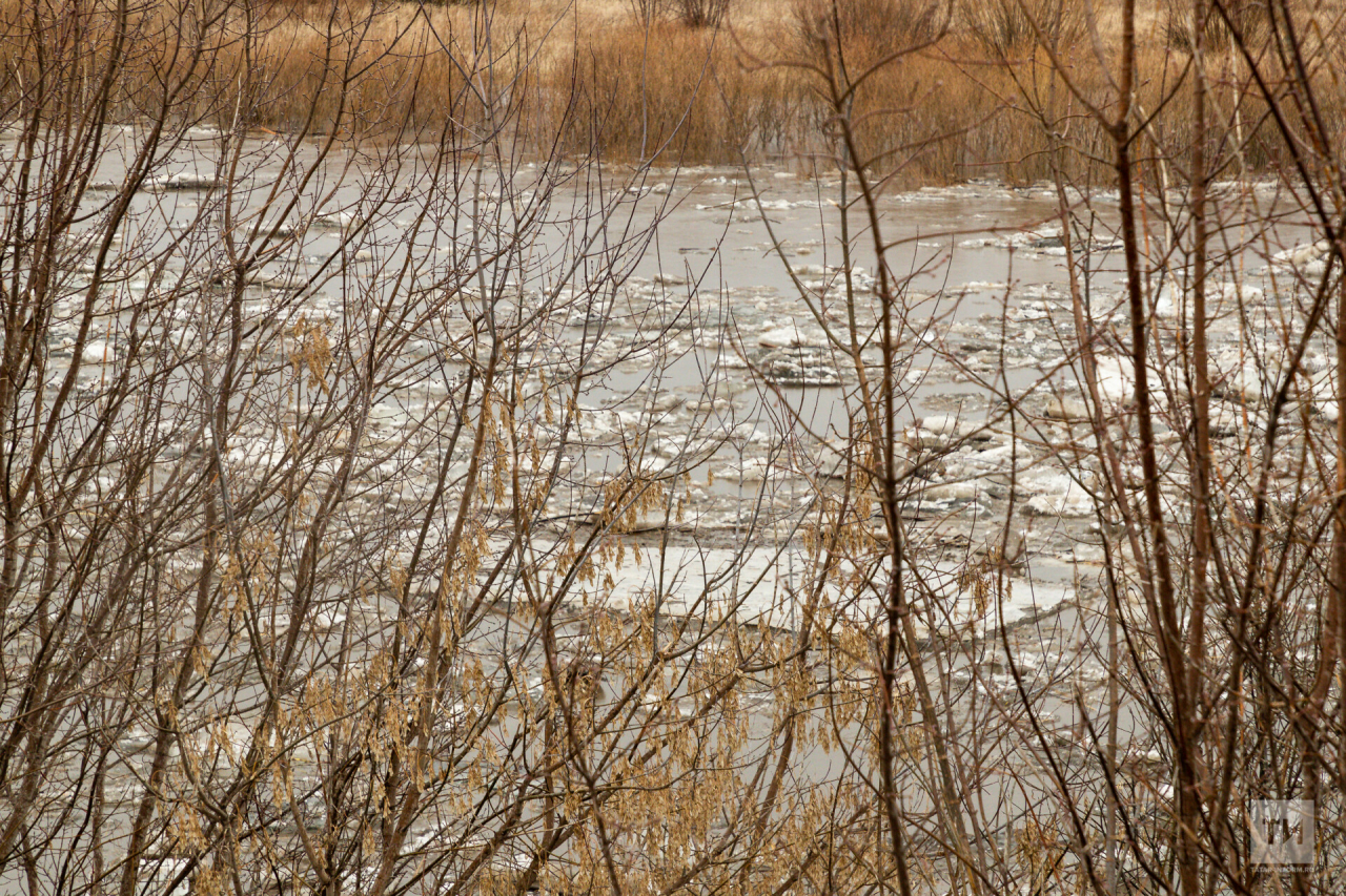 На реках Татарстана уровень воды продолжает снижаться