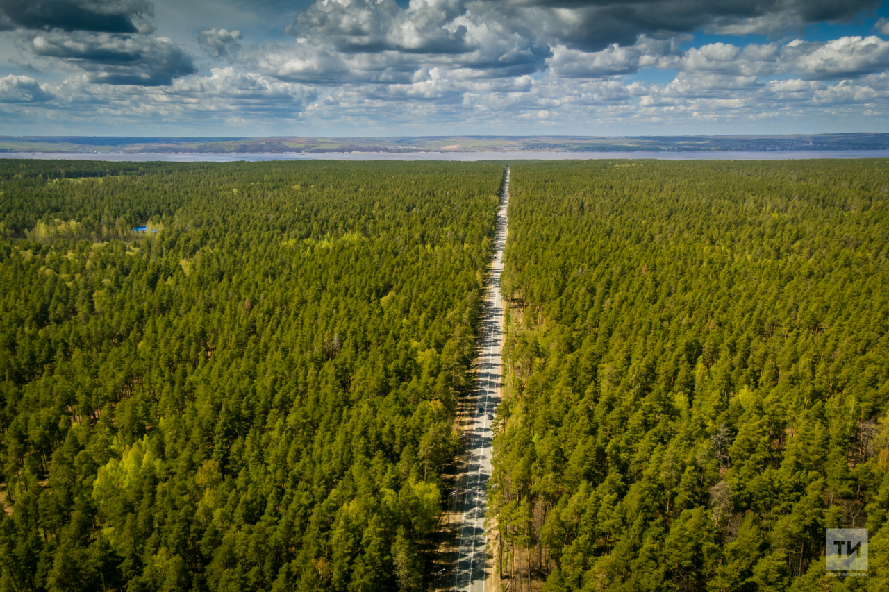 Минлесхоз: На каждого татарстанца в среднем приходится по 30 соток леса