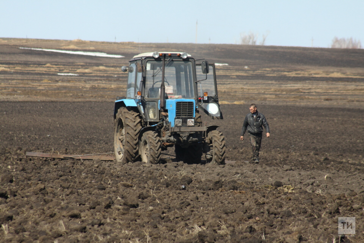 Минсельхозпрод Татарстана сообщил о начале весенних полевых работ