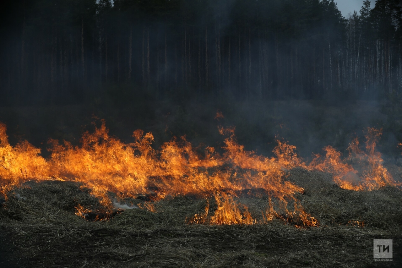 За прошлый год число природных пожаров в Татарстане сократилось в два раза