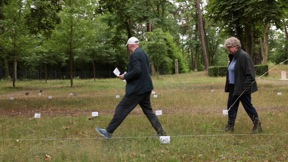 «Обидно и горько»: кладбище татарских военнопленных в Германии в плачевном состоянии