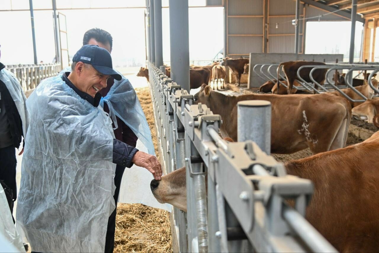 Минниханов посетил молочную ферму в Елабужском районе и оценил планы по ее развитию