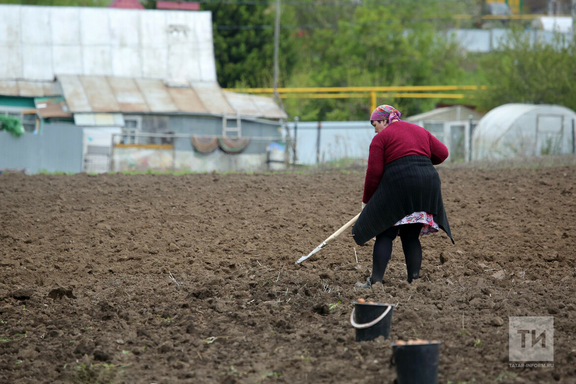 В Татарстане садоводов освободили от налога на имущество до 2025 года