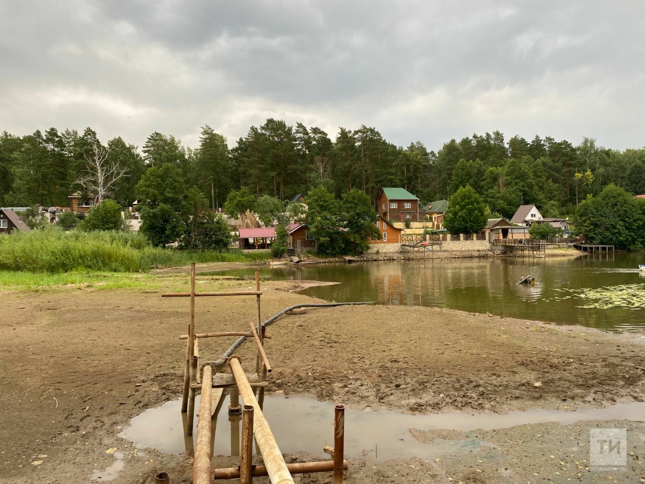 Нижнекамцы бьют тревогу: озеро Подборное практически полностью высохло