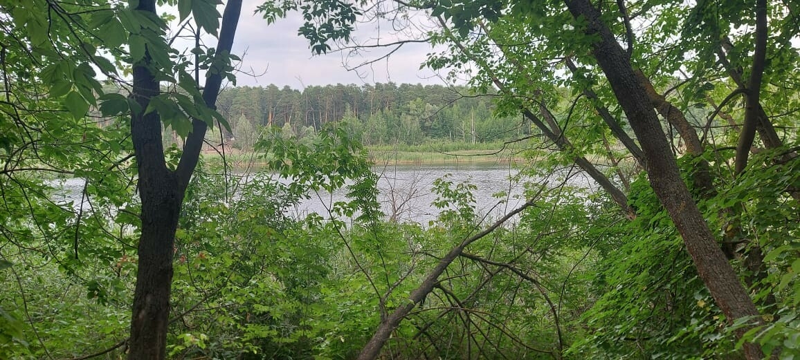 В Татарстане нашли потенциально целебное озеро