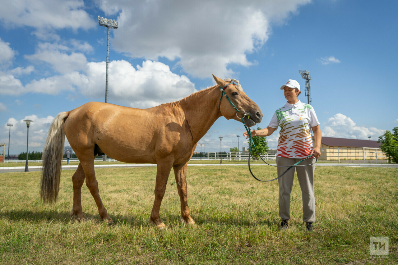 В Казани стартовал конный пробег до Алтая на лошадях татарской породы