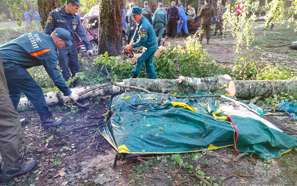 «Муж вытащил нас из палатки, через секунду упало дерево»: очевидцы о смертельном урагане