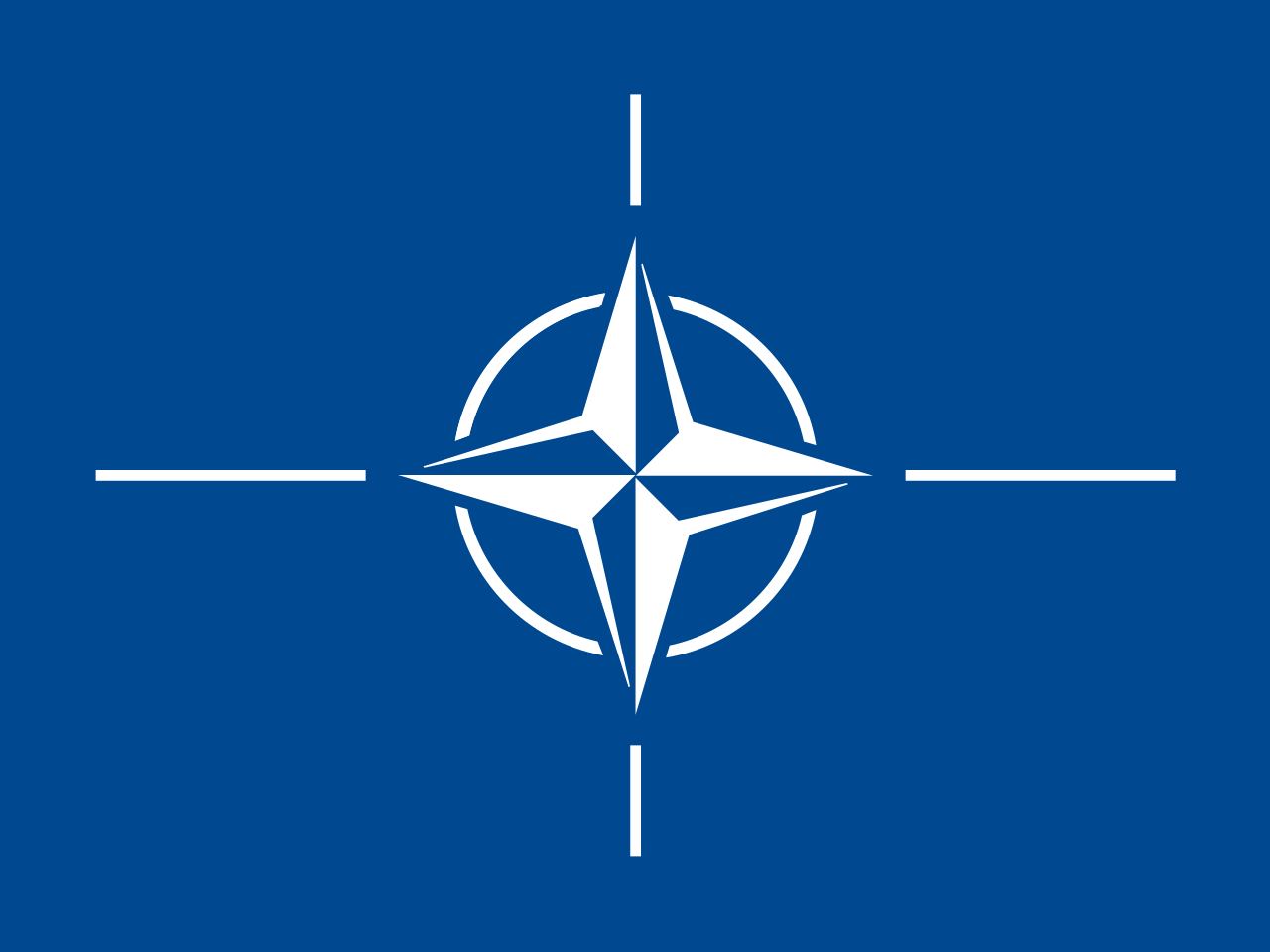 Telegraph: Германия хочет отсрочить заявку Украины на вступление в НАТО
