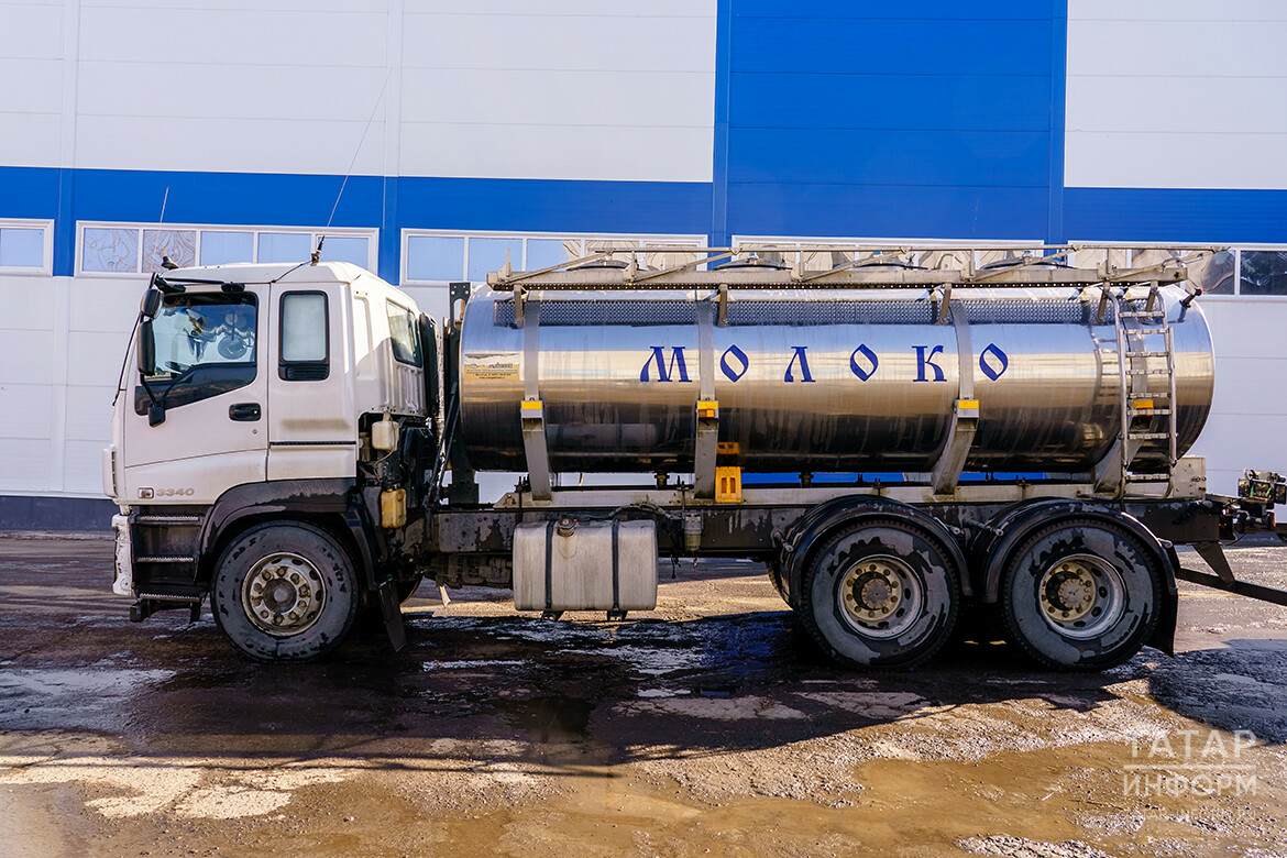 За 2023 год производство молока в Татарстане выросло на 8,6%