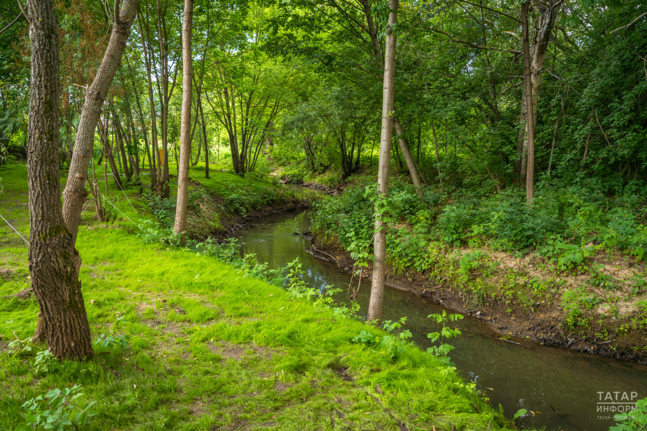 Минэкологии РТ: На оздоровление Ноксы Татарстану потребуется 700 млн рублей