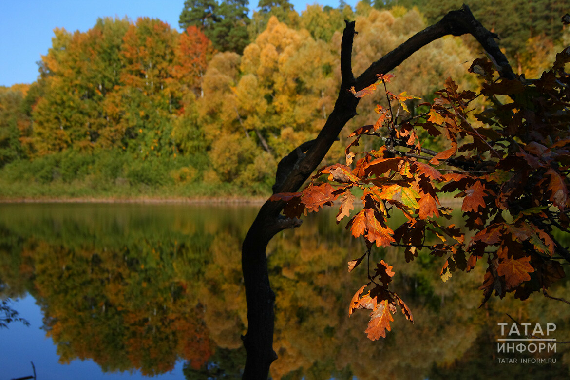 Теплая погода в Татарстане сохранится до следующего вторника