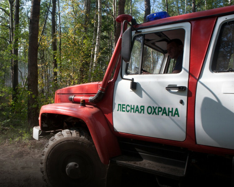 Рослесхоз: Ситуация с лесными пожарами в России стабилизировалась