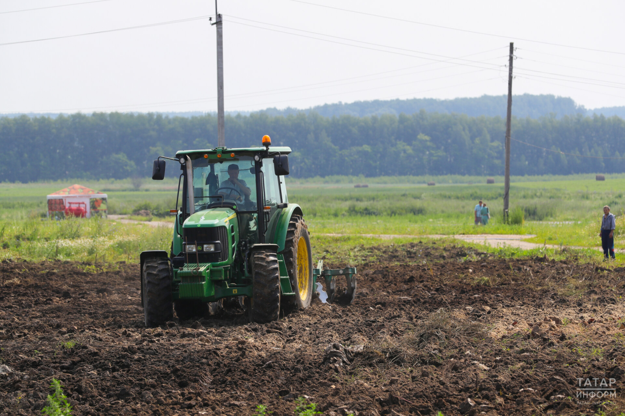 Татарстан получит более 88 млн рублей на мелиорацию земель