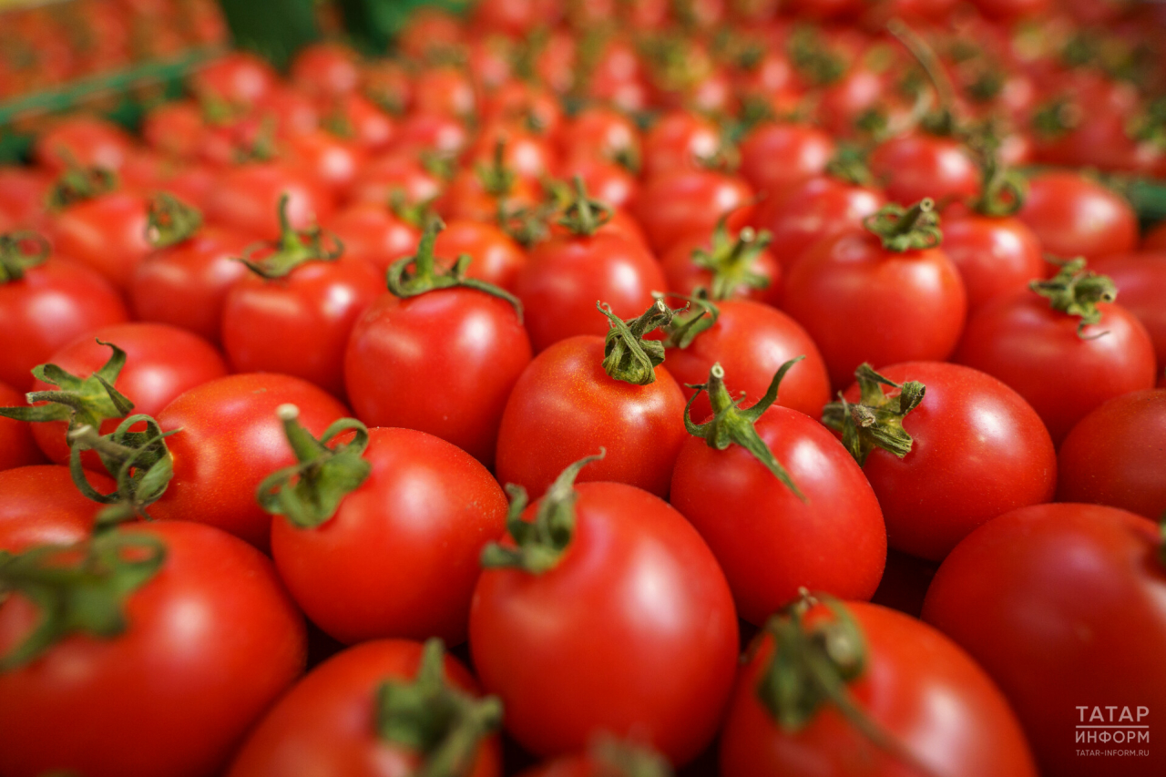 В Татарстане почти на 7% подорожали помидоры