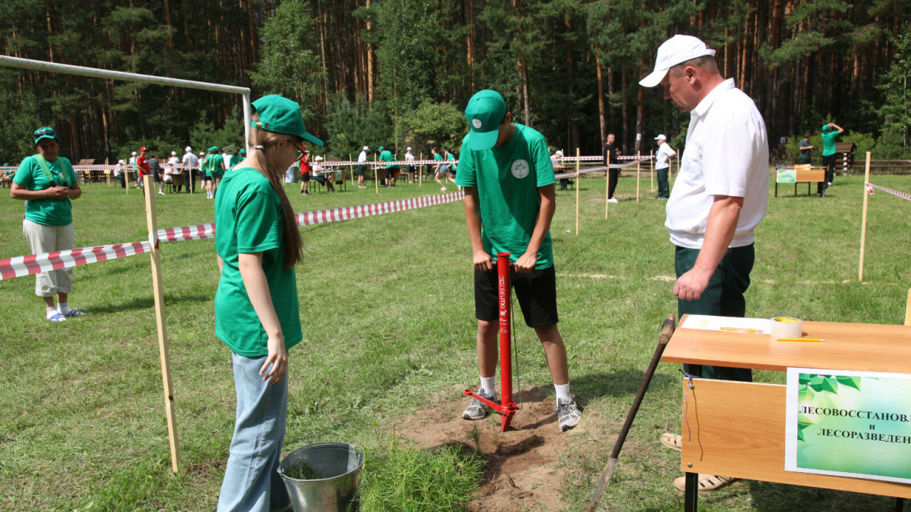 Число школьных лесничеств в Татарстане увеличилось до 149