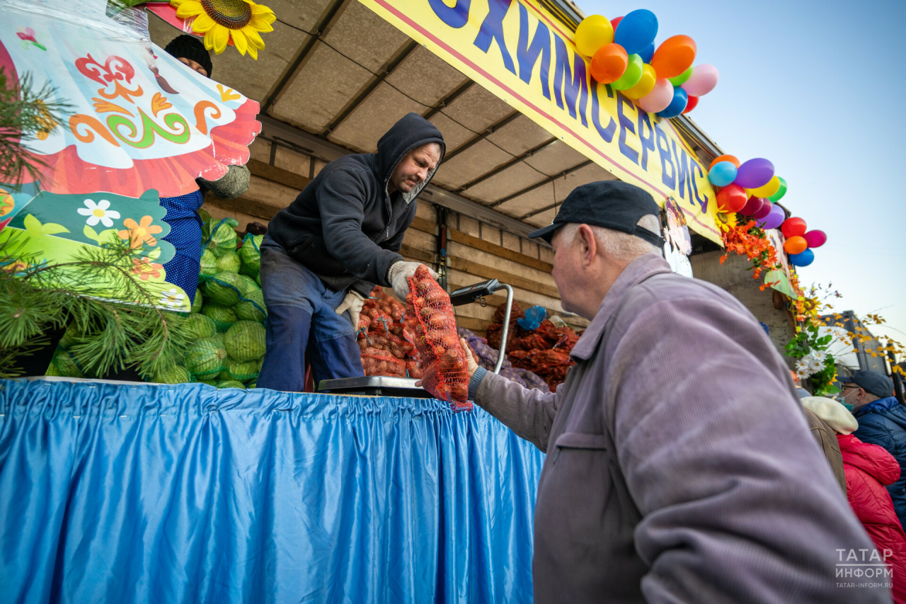 «Цены будут ниже среднерозничных»: в Татарстане 9 сентября откроются сельхозярмарки
