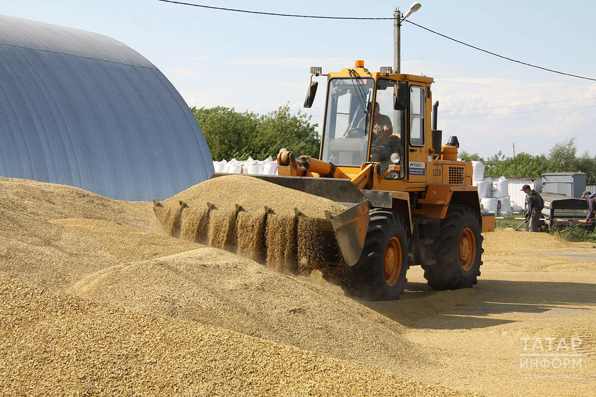 Татарстан агросәнәгать комплексы продукциясе экспорты 450 млн доллар дәрәҗәсендә көтелә