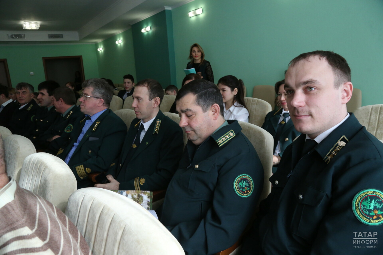 Подъемные до 300 тыс. и профориентация: как Минлесхоз РТ привлекает кадры в отрасль