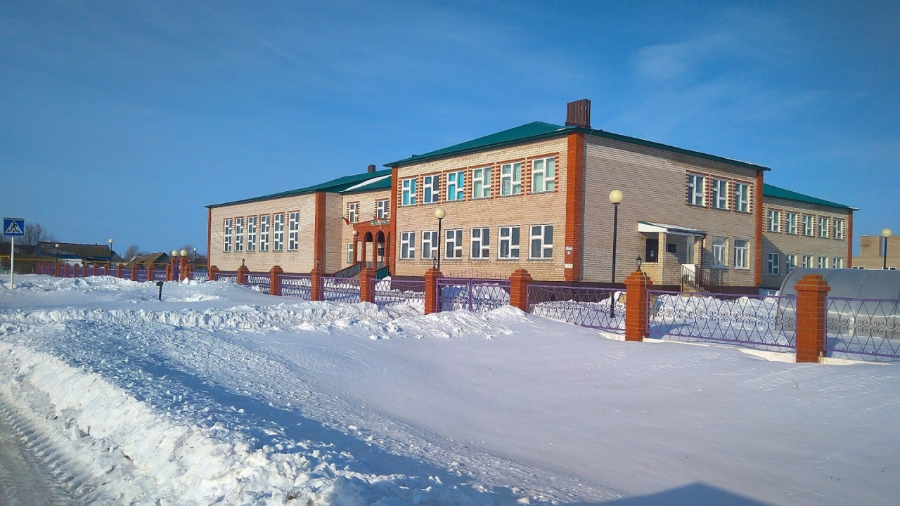 Клуб, школьные кабинеты, ФАП и инфекционка: партдесант оценил объекты в Татарстане