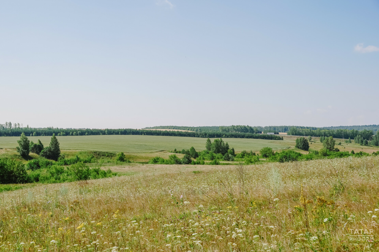 В Татарстане за год выявлено 76 тыс. га неиспользуемых земель сельхозназначения