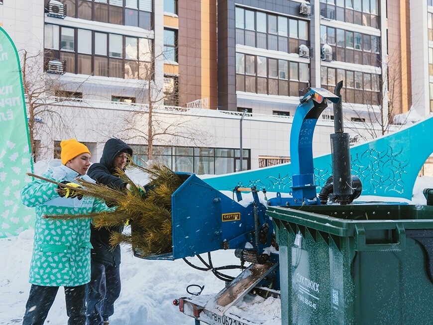 Жители Казани уже сдали на переработку более 2 тыс. новогодних елок