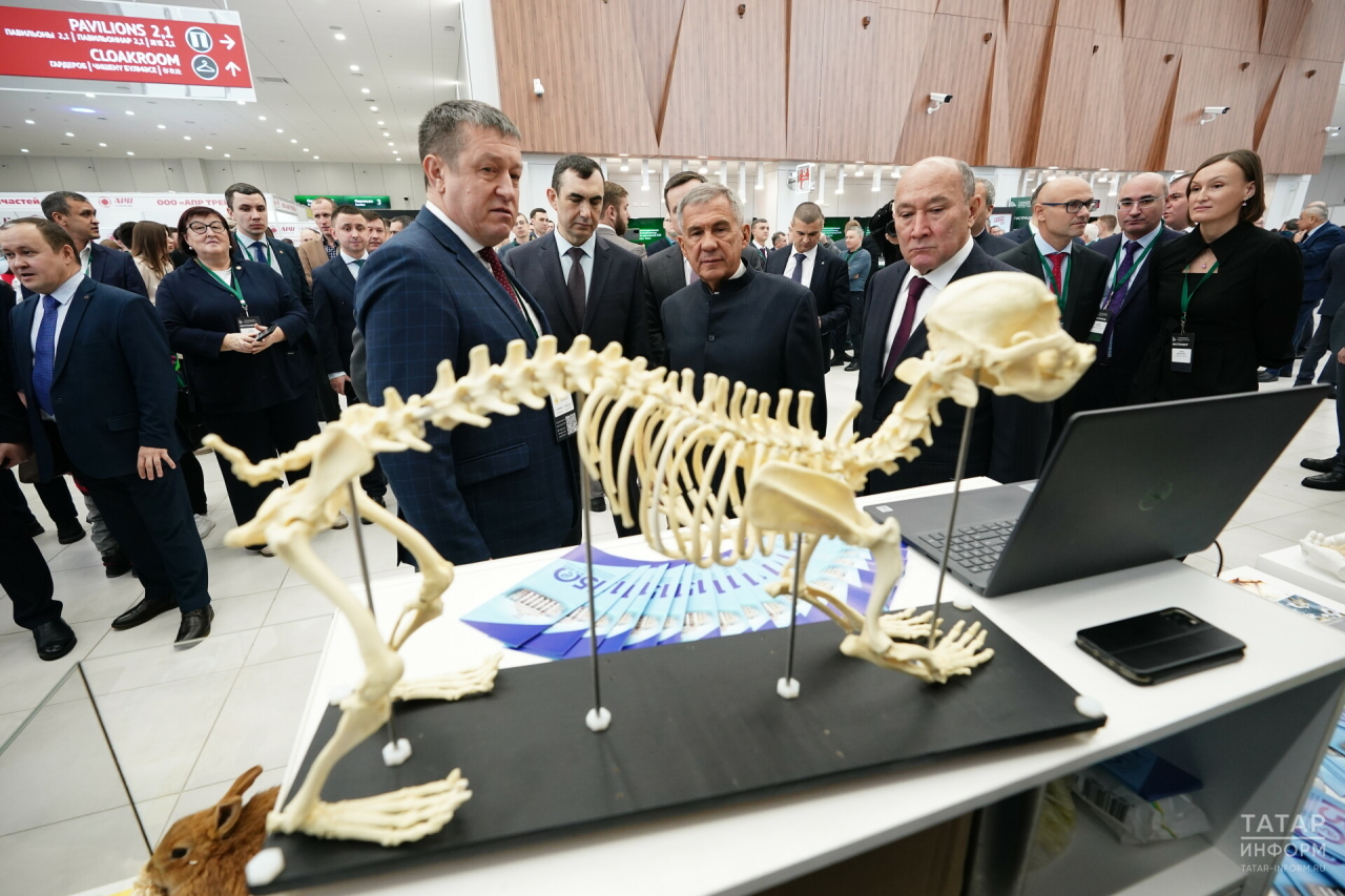 Минниханов ознакомился с новинками агропромышленного комплекса на выставке «ТатАгроЭкспо»