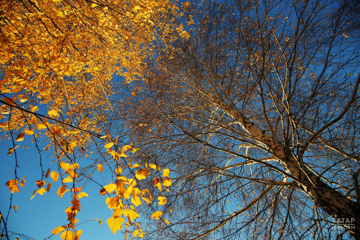 Салкын төннән соң Татарстанда 12 градуска кадәр җылы булыр дип көтелә