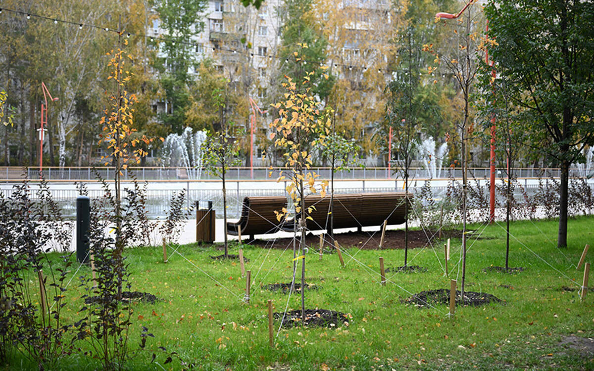 «Рывок мы сделали благодаря БРИКСу»: Казань за год благоустроила 42 га в парках и скверах