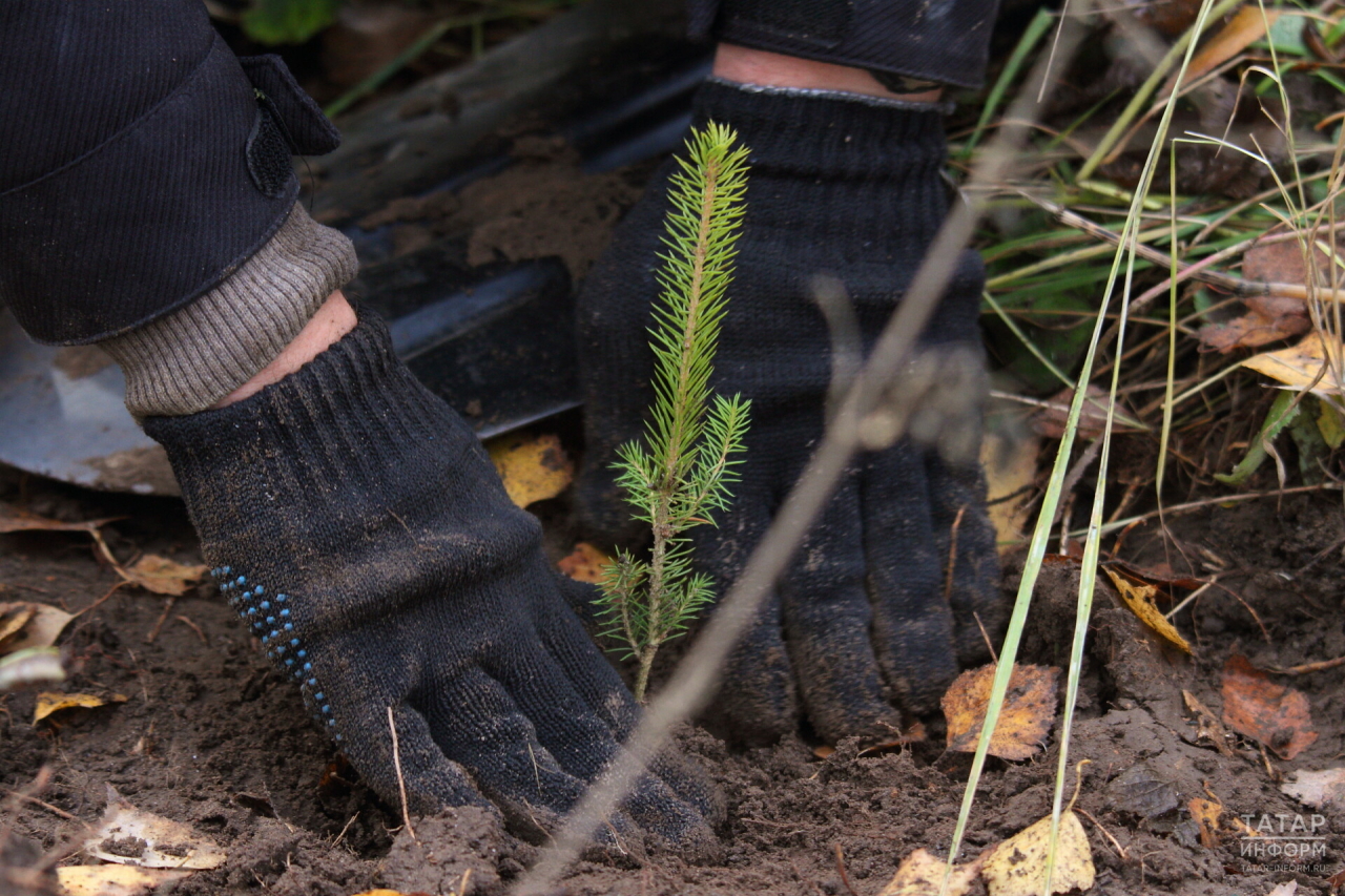 За шесть лет Татарстан вложил в экологию 60,5 млрд рублей