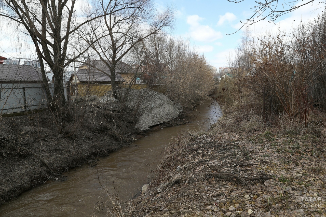 Дмитрий Шиллер: Проект по очистке русел малых рек необходим Татарстану