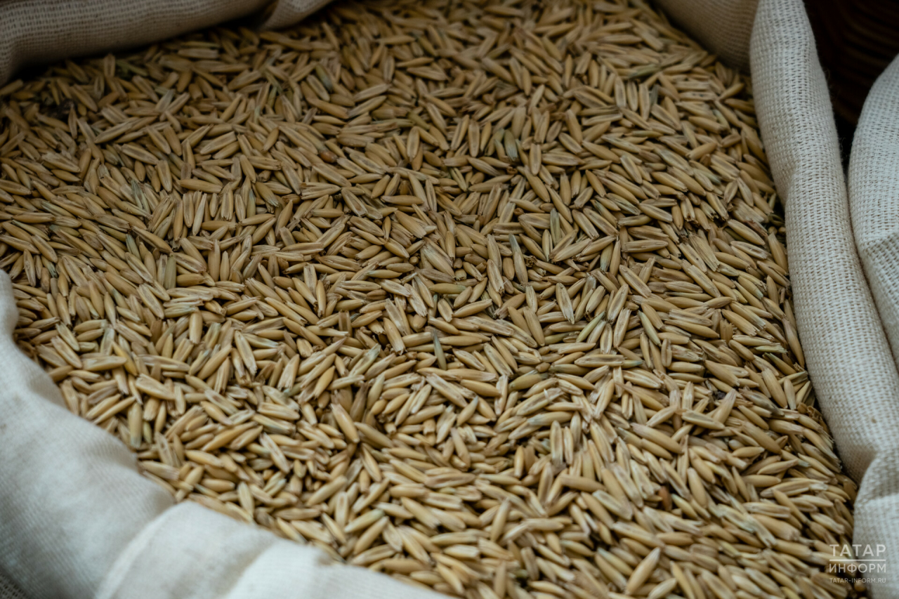 Минсельхоз Татарстана рекомендовал аграриям приобретать местные сорта зерновых