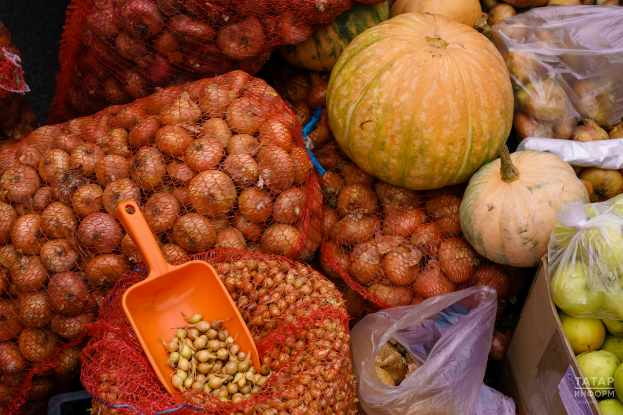 «Пример для всей страны»: Минниханов анонсировал старт весенних ярмарок в Казани