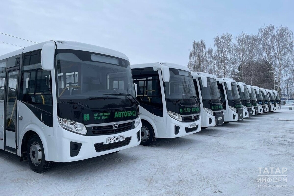 Большие автобусы вместо маршруток, трамваи – в промзону: что ждет транспорт в Нижнекамске